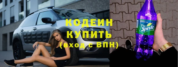 гидра Богородск