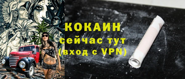 дмт Богданович