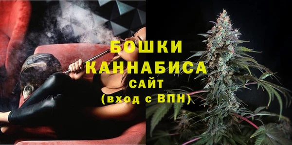 гидра Богородск