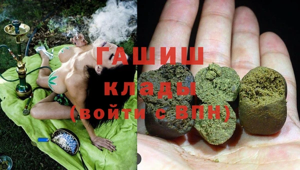 дмт Богданович