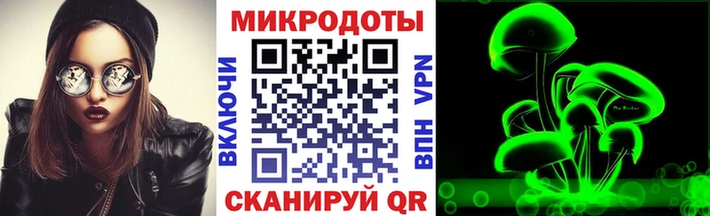 Купить закладки  Озёрск  Псилоцибиновые грибы MAGIC MUSHROOMS 